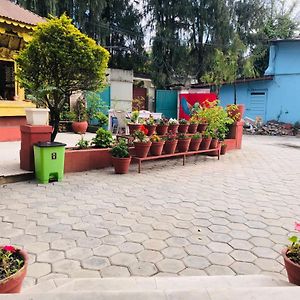 Single Room Terrace